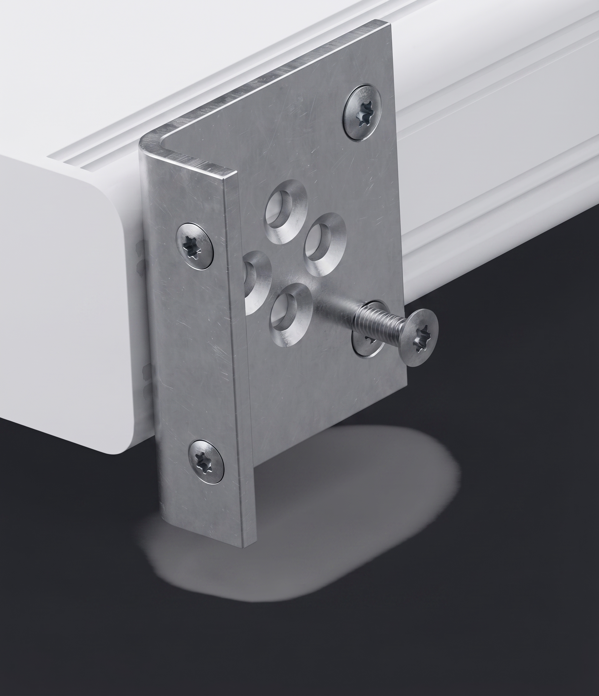 Case Mount